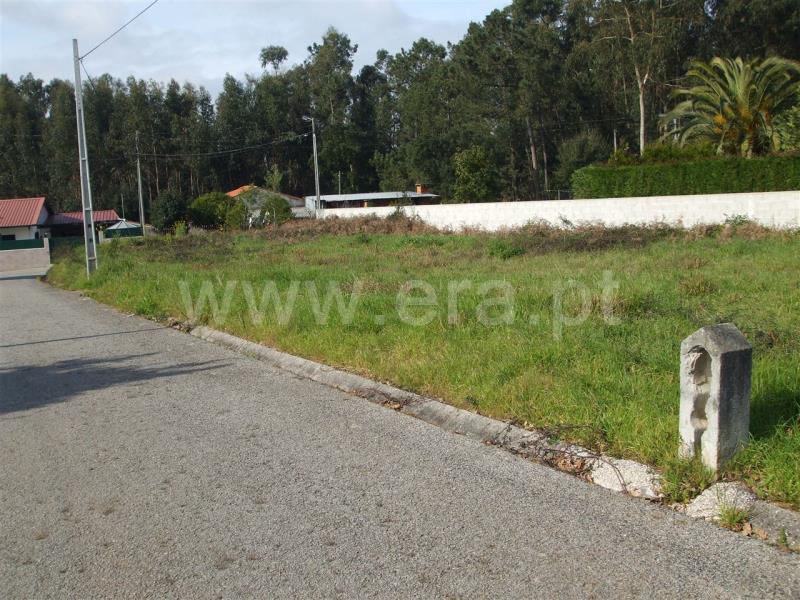 Lote / Ovar, Maceda
