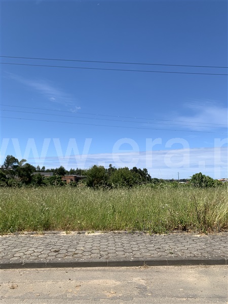 Lote / Ovar, S. João de Ovar