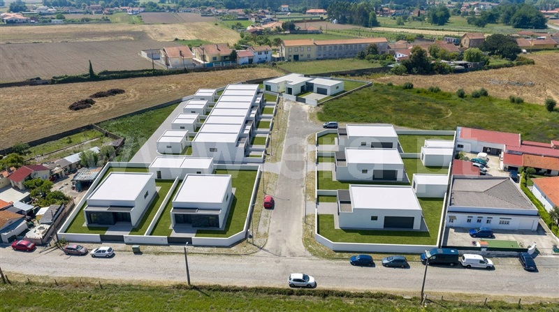 Lote / Ovar, Válega