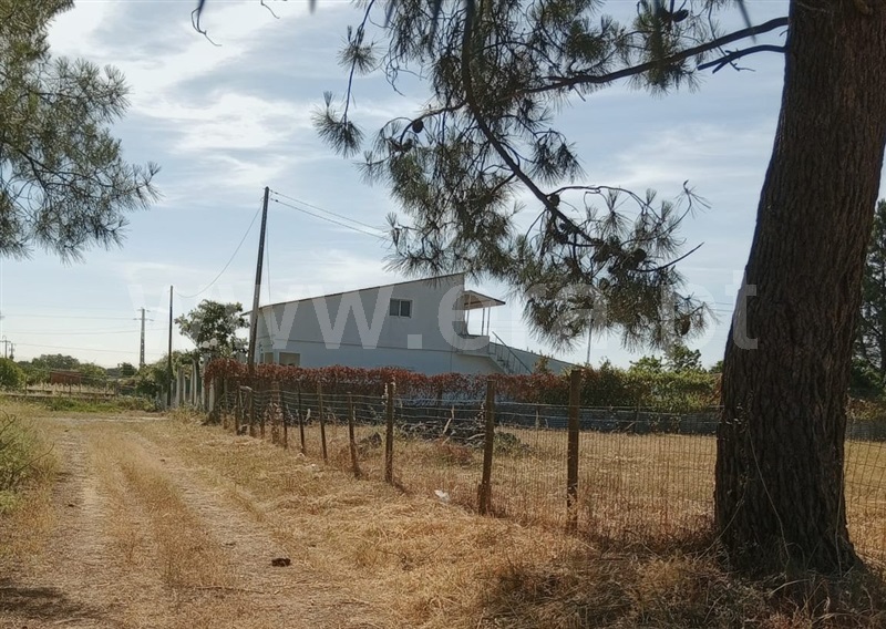 Lote / Palmela, Poceirão