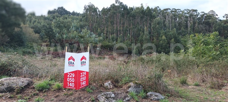 Lote / Paredes, Cete