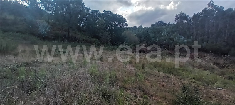 Lote  Paredes, Cete - 1354656 - 7