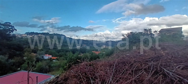 Lote  Paredes, Cete - 1354656 - 8