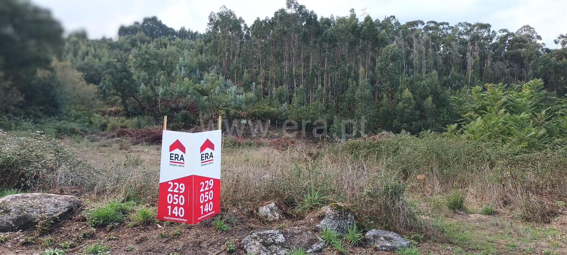 Land for sale in Paredes, Portugal — €120,000