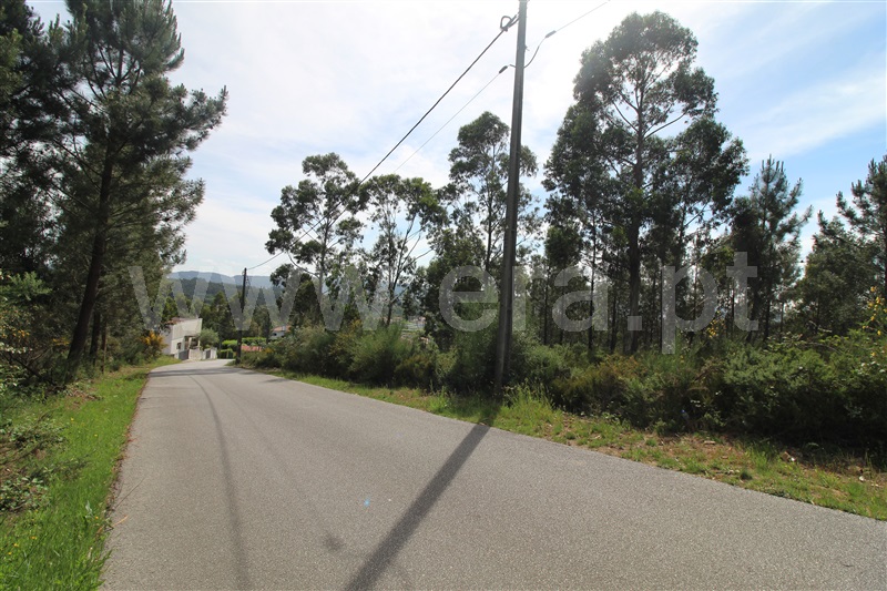 Lote  Paredes, Gandra - 1325439 - 3