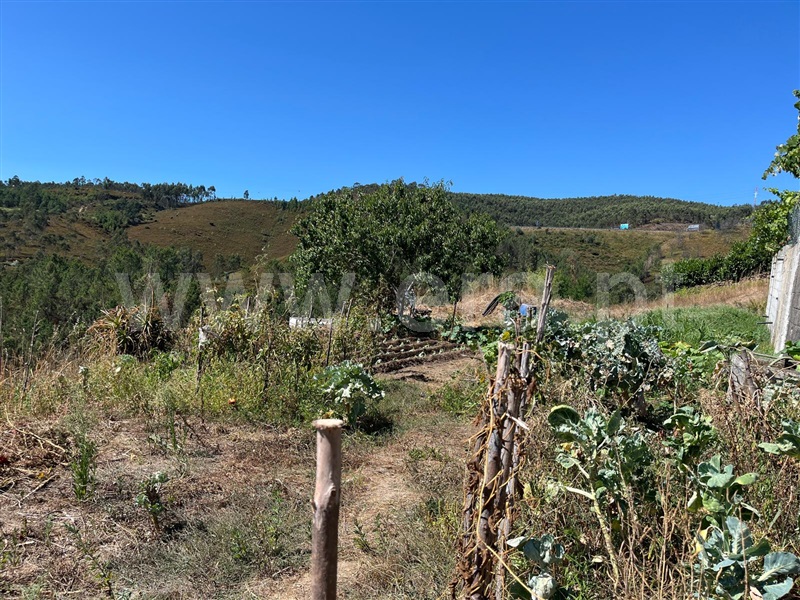 Lote  Paços de Ferreira - 1503487 - 2