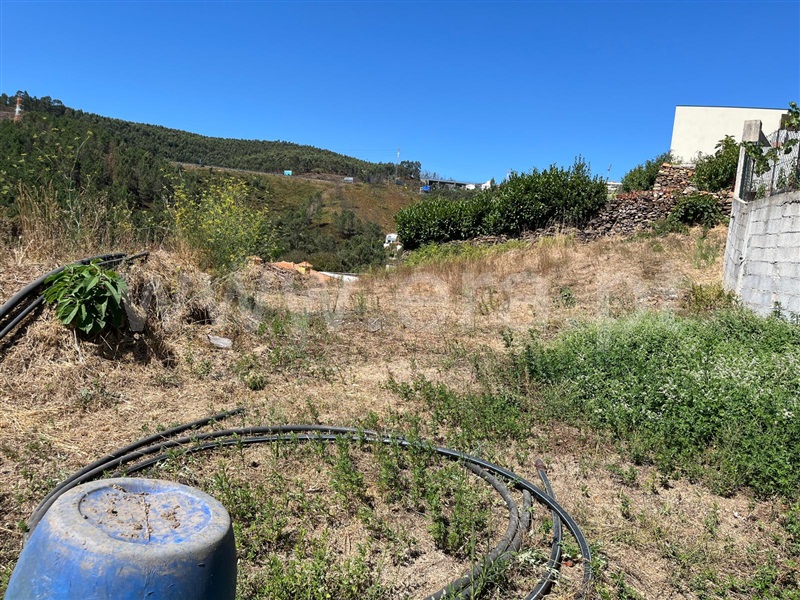 Lote  Paços de Ferreira - 1503487 - 3