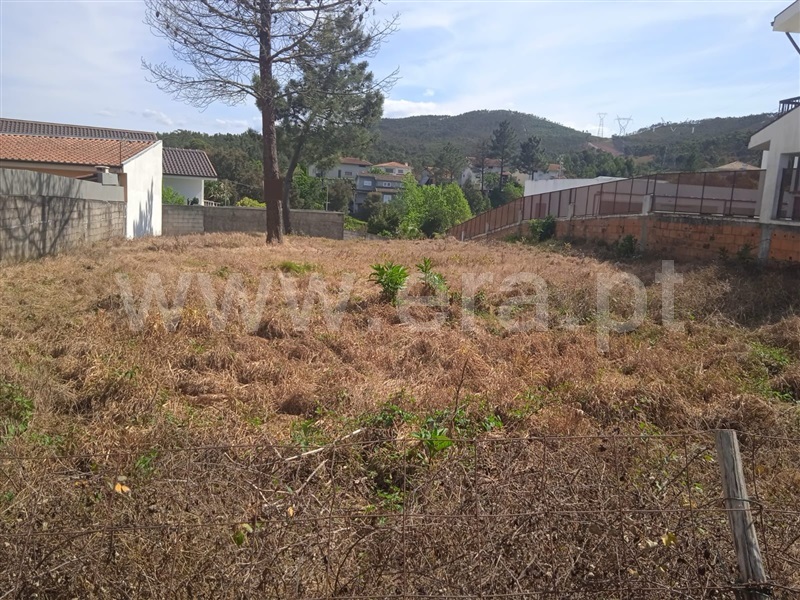 Lote / Paredes, Recarei