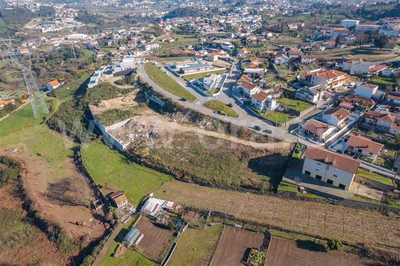 Lote  Paredes, Vilela - 1455602 - 3
