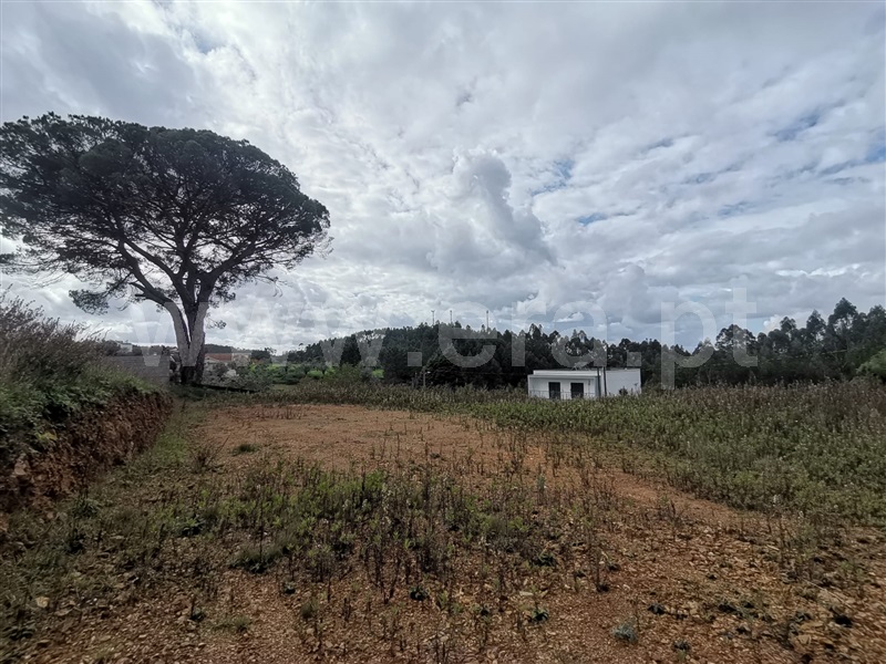 Lote  Penacova, Penacova - 1286698 - 17