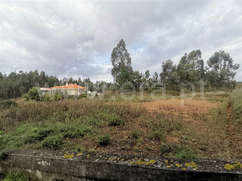 Lote  Penacova, Penacova - 1286698 - 18