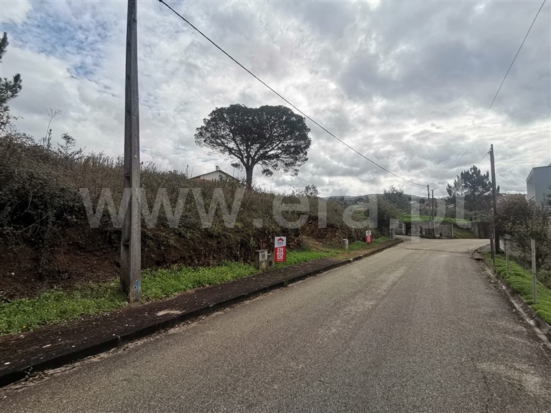 Lote  Penacova, Penacova - 1286721 - 2