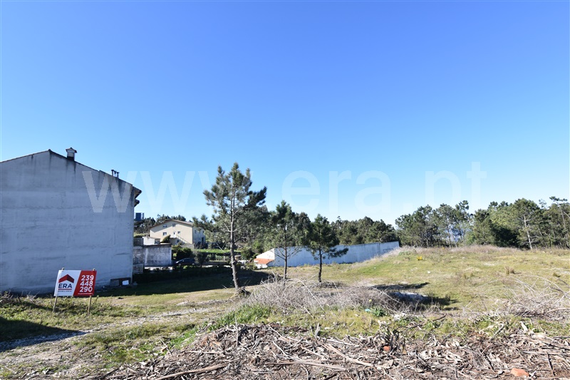 Lote / Penacova, Penacova