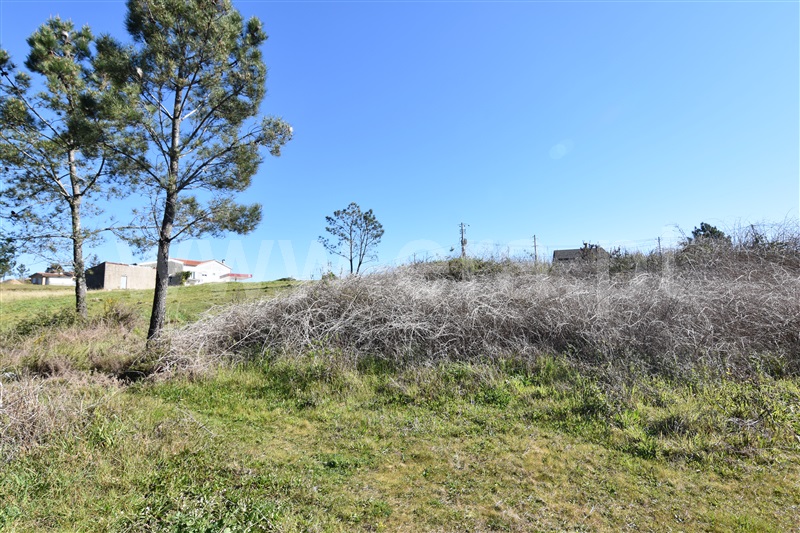 Lote  Penacova, Penacova - 138510 - 8