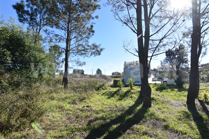 Lote  Penacova, Penacova - 138514 - 7