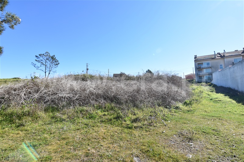 Lote  Penacova, Penacova - 138518 - 5