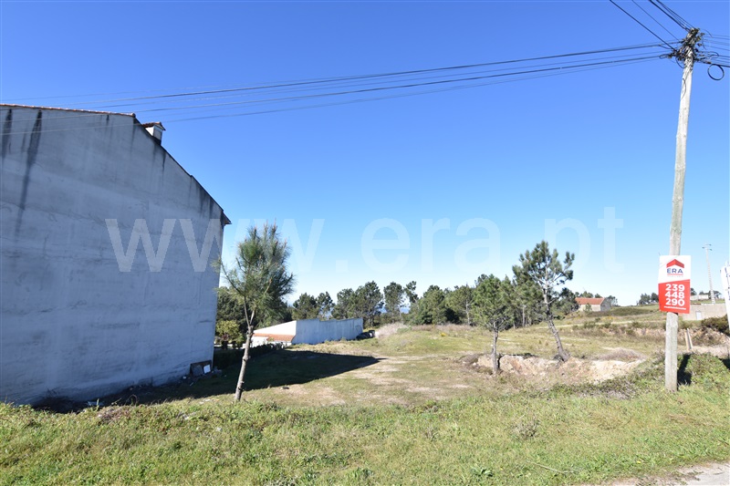 Lote / Penacova, Penacova
