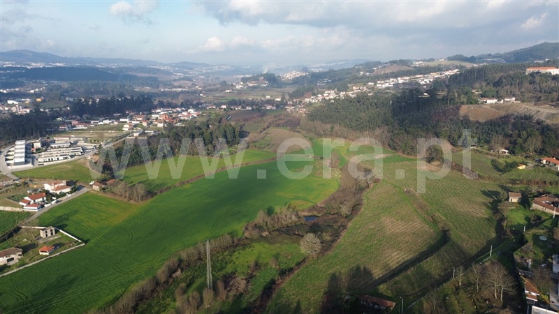 Lote / Penafiel, Bustelo