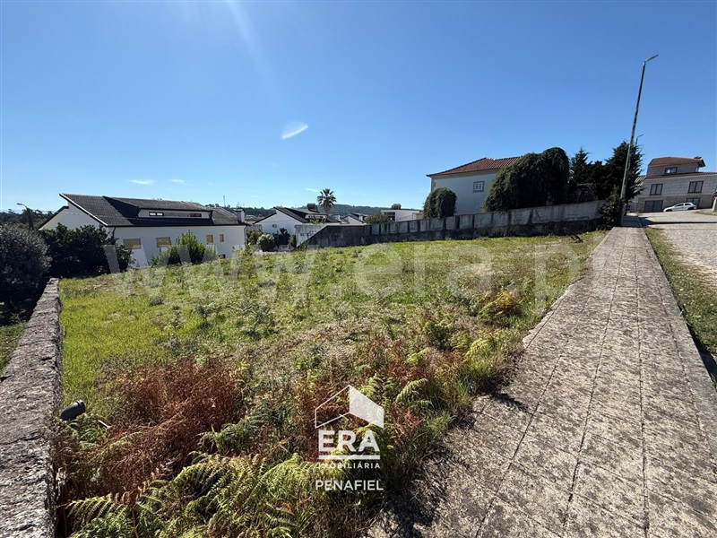 Lote / Penafiel, Penafiel