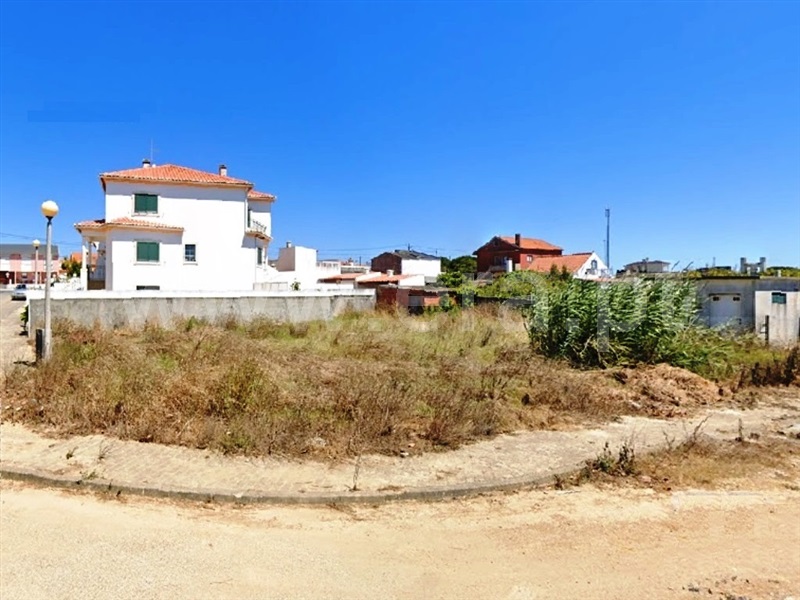 Lote / Peniche, Alto Veríssimo