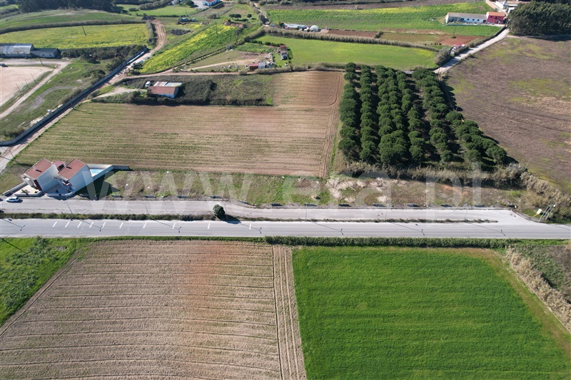 Lote  Peniche, Serra d´El-Rei - 1249108 - 1