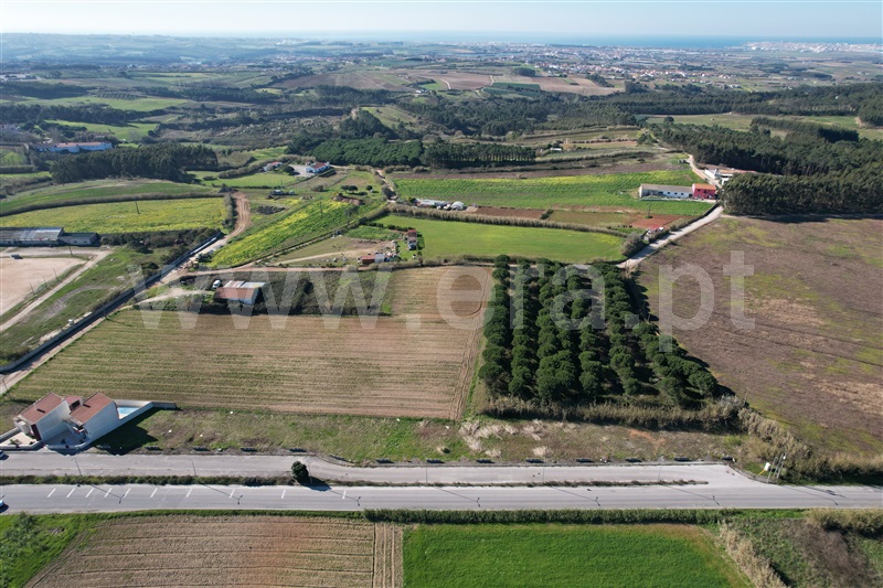 Lote  Peniche, Serra d´El-Rei - 1249110 - 3