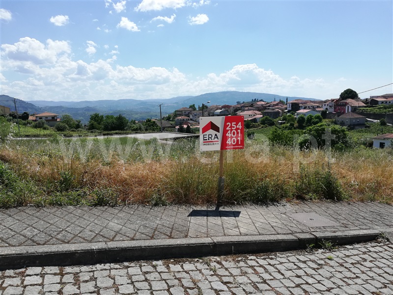 Lote / Peso da Régua, Poiares e Canelas