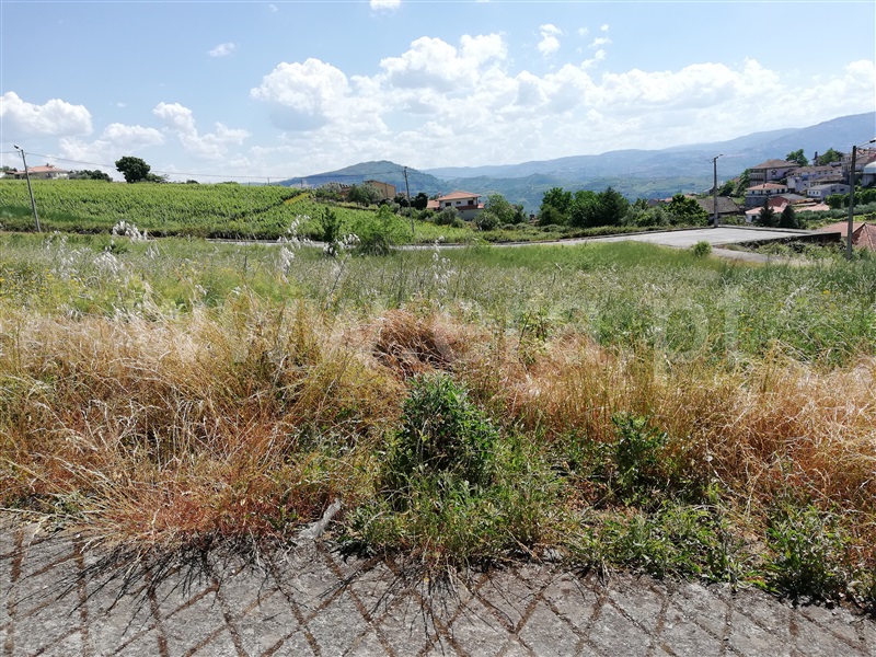 Lote  Peso da Régua, Poiares e Canelas - 1092029 - 3