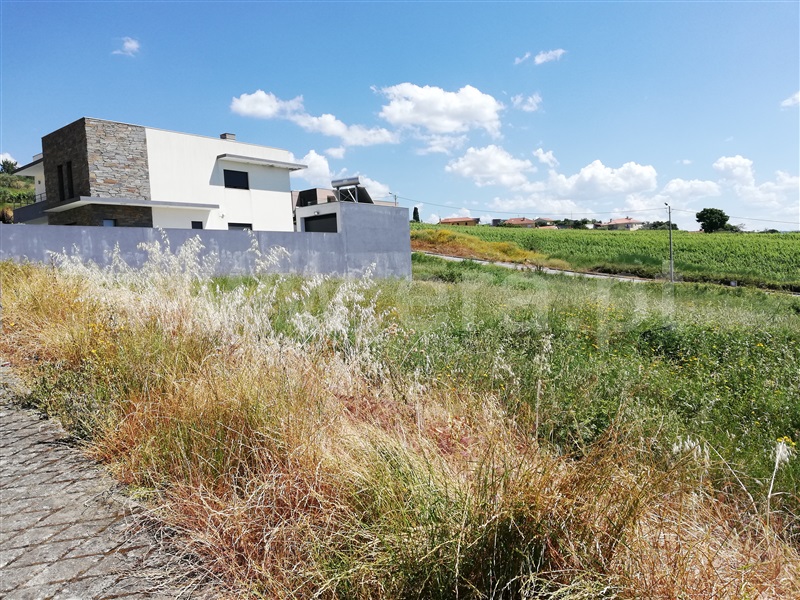 Lote / Peso da Régua, Poiares e Canelas