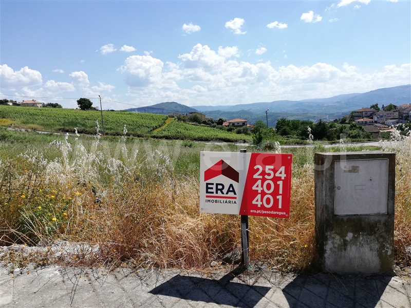 Lote  Peso da Régua, Poiares e Canelas - 1092031 - 3