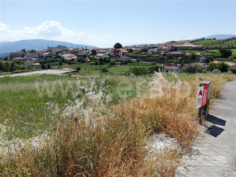 Lote  Peso da Régua, Poiares e Canelas - 1092031 - 4