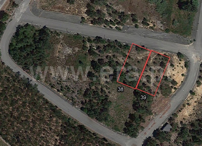 Lote / Pombal, Pelariga