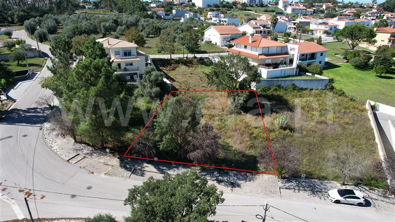 Lote / Pombal, Pombal