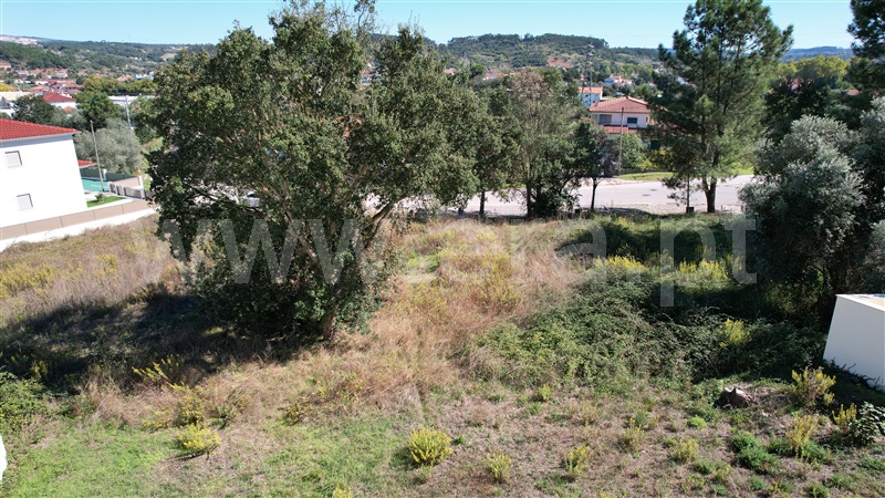 Lote  Pombal - 1358531 - 11