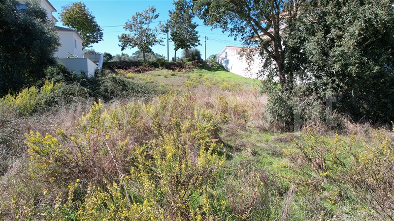 Lote  Pombal - 1358531 - 12