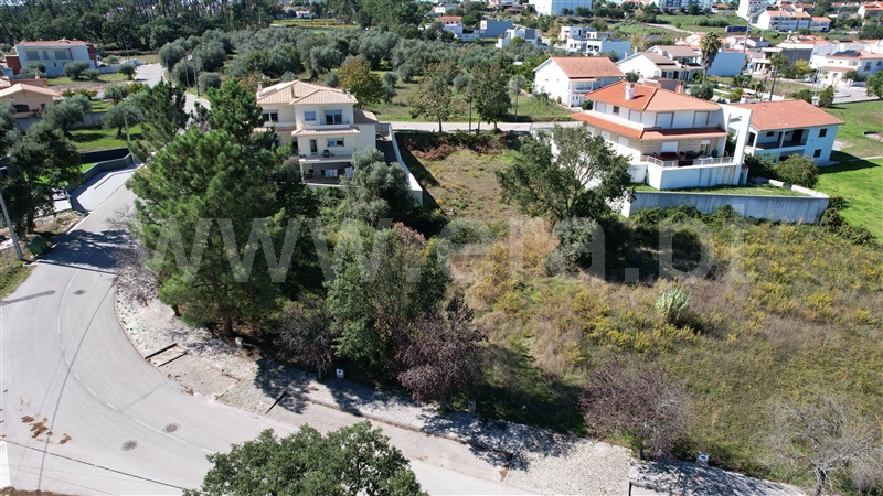 Lote  Pombal - 1358531 - 14