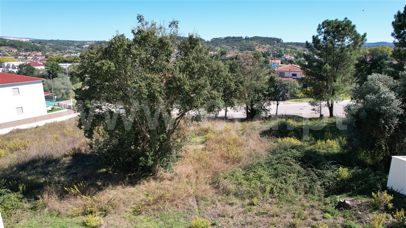 Lote  Pombal - 1358531 - 15