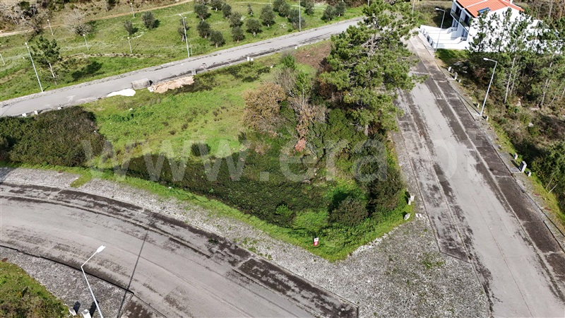 Lote / Pombal, POMBAL
