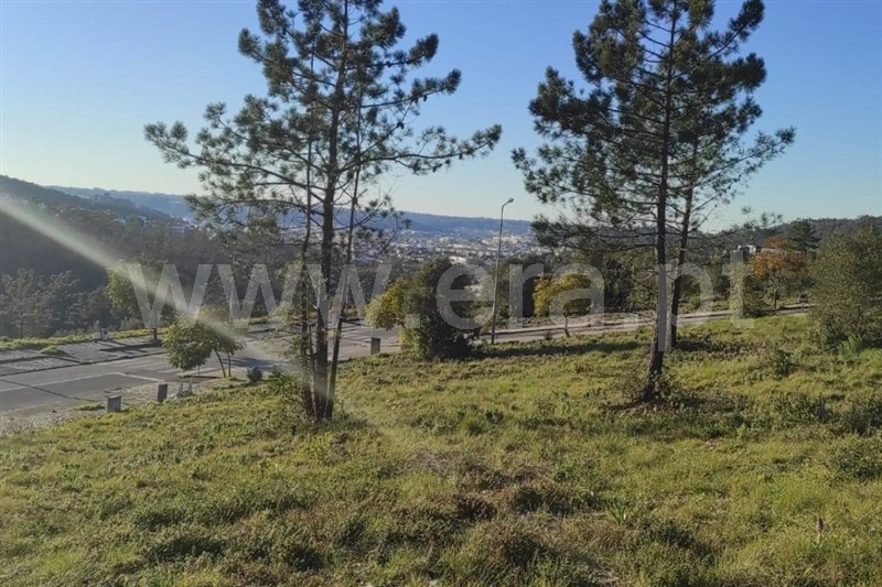 Lote / Pombal, Pombal