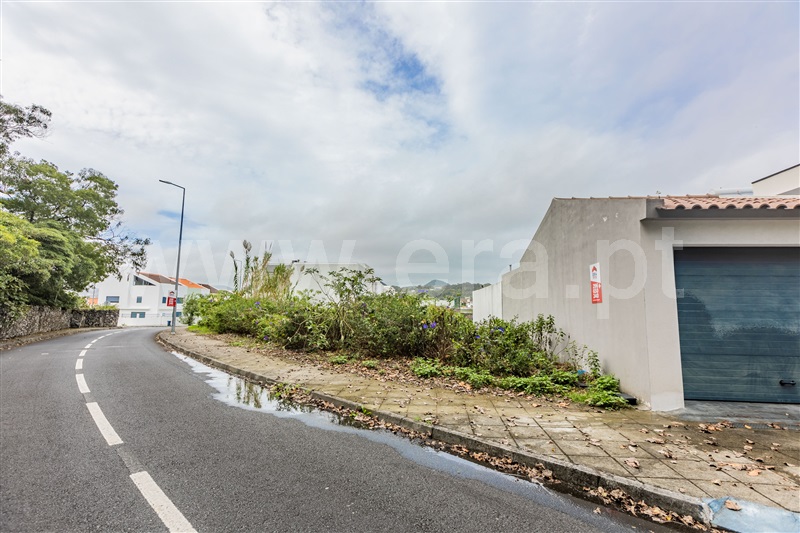 Lote  Ponta Delgada, Rosto do Cão (Livramento) - 1490211 - 1