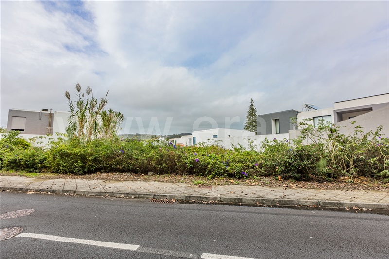 Lote  Ponta Delgada, Rosto do Cão (Livramento) - 1490211 - 2