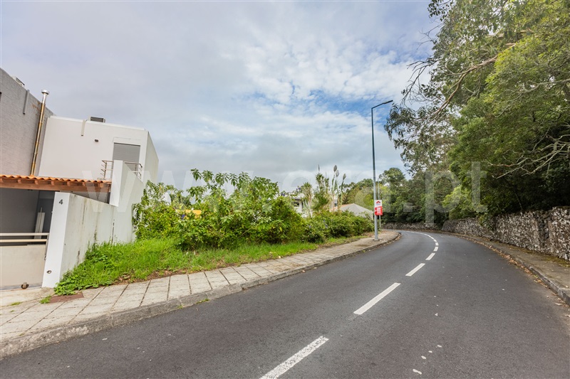 Lote  Ponta Delgada, Rosto do Cão (Livramento) - 1490211 - 3