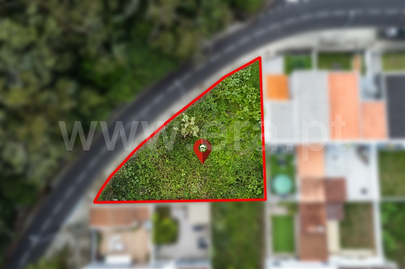 Lote / Ponta Delgada, Rosto do Cão (Livramento)