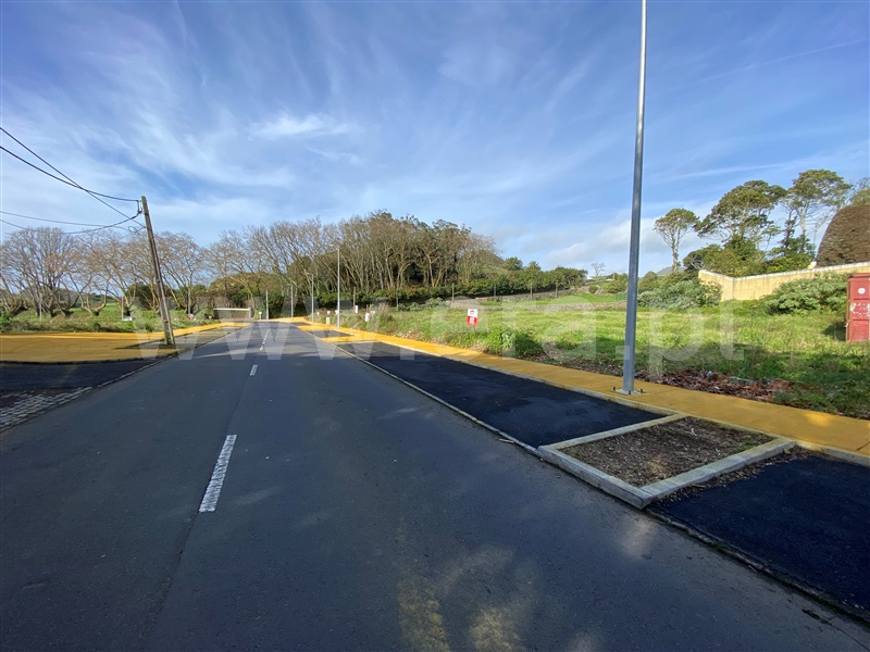 Lote / Ponta Delgada, Rosto do Cão (São Roque)