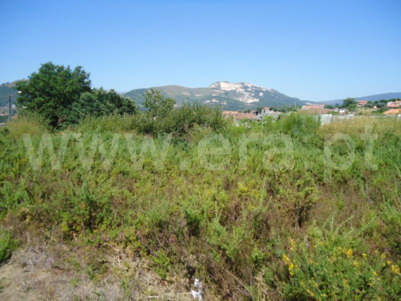 Lote / Ponte de Lima, Arcozelo
