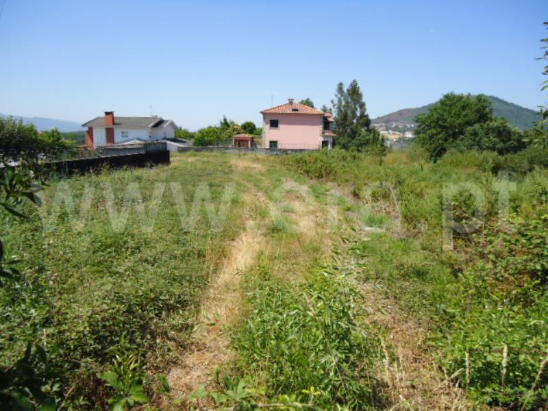 Lote / Ponte de Lima, Arcozelo