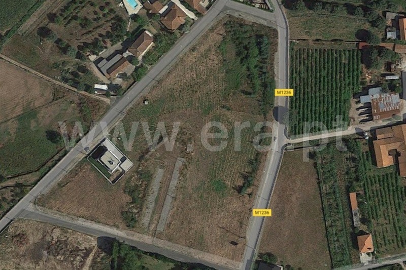 Lote / Ponte de Lima, Fontão