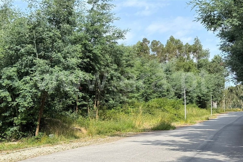 Lote / Ponte de Lima, Fornelos