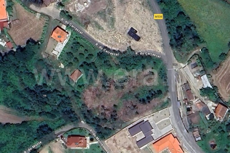 Lote  Ponte de Lima, Navió - 1504222 - 4