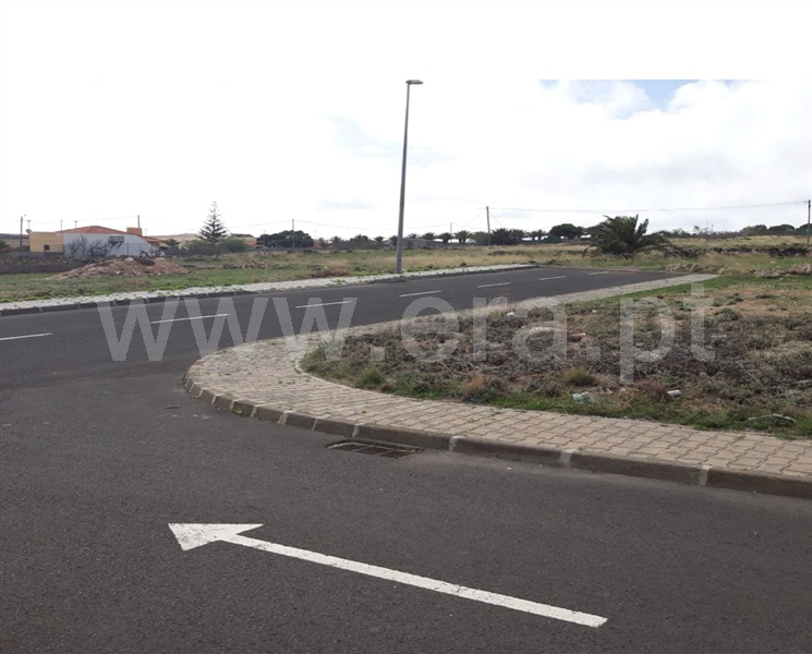 Lote  Porto Santo - 1484072 - 5